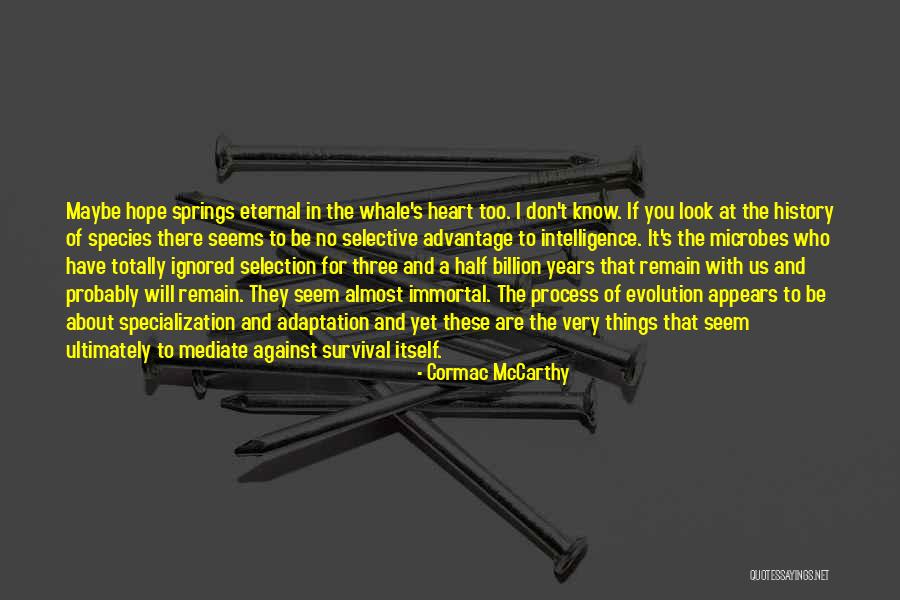 Mediate Quotes By Cormac McCarthy Mediate Quotes By Cormac McCarthy
