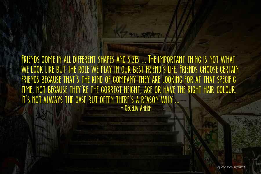 Medical Indemnity Quotes By Cecelia Ahern Medical Indemnity Quotes By Cecelia Ahern