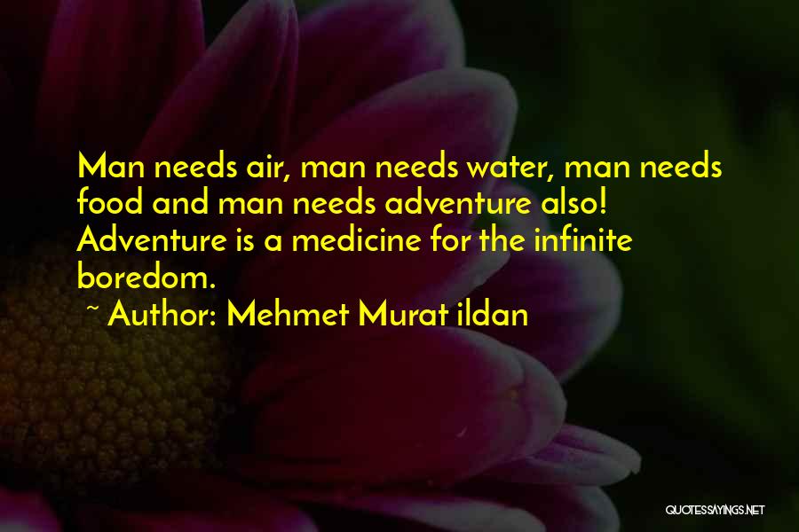 Medicine And Food Quotes By Mehmet Murat Ildan