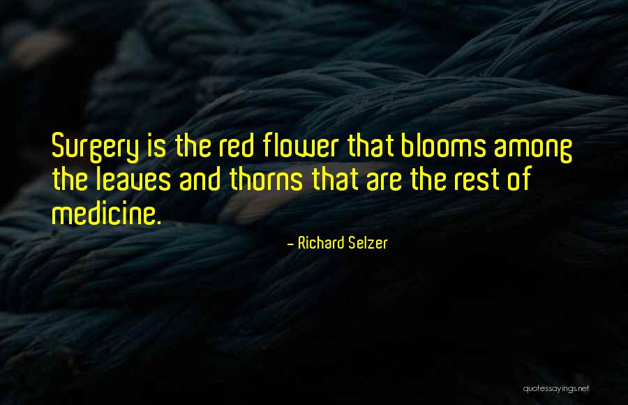 Medicine And Technology Quotes By Richard Selzer