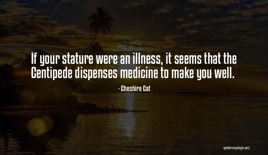 Medicine Cat Quotes By Cheshire Cat Medicine Cat Quotes By Cheshire Cat