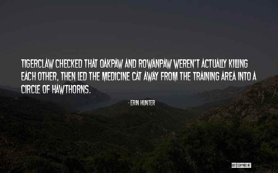 Medicine Cat Quotes By Erin Hunter Medicine Cat Quotes By Erin Hunter