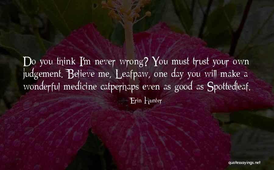 Medicine Cat Quotes By Erin Hunter Medicine Cat Quotes By Erin Hunter