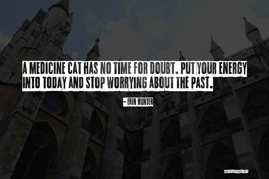 Medicine Cat Quotes By Erin Hunter Medicine Cat Quotes By Erin Hunter