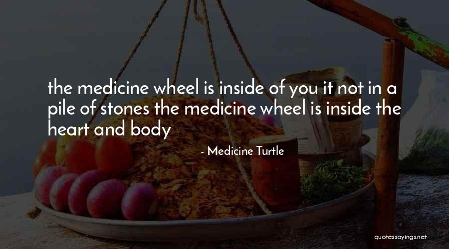 Medicine Turtle Quotes 1482998