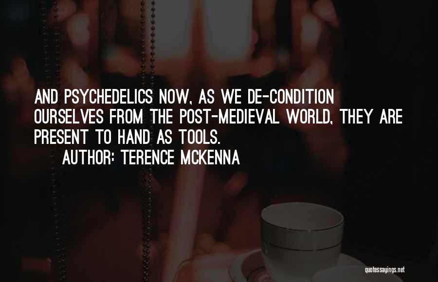 Medieval 2 Quotes By Terence McKenna