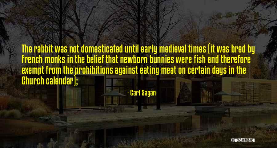 Medieval Times Quotes By Carl Sagan