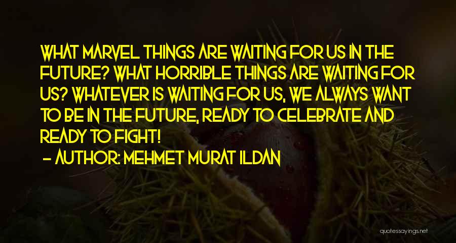 Medihaler Quotes By Mehmet Murat Ildan