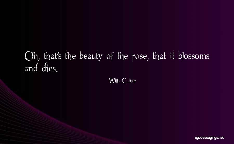 Medikon Quotes By Willa Cather Medikon Quotes By Willa Cather