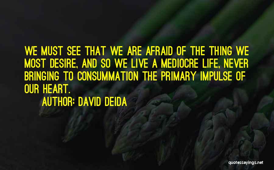 Mediocre Life Quotes By David Deida