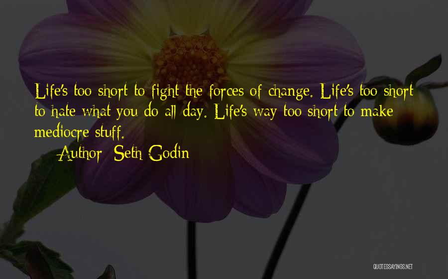 Mediocre Life Quotes By Seth Godin