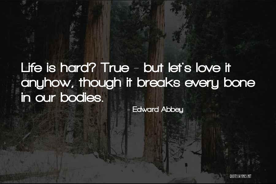 Mediocridad Definicion Quotes By Edward Abbey Mediocridad Definicion Quotes By Edward Abbey