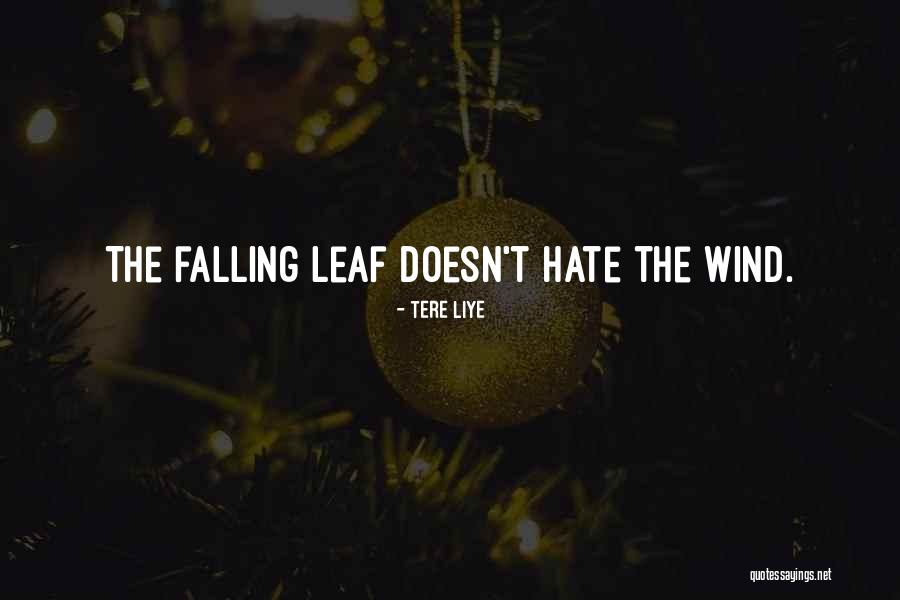 Medirite Amalinda Quotes By Tere Liye Medirite Amalinda Quotes By Tere Liye