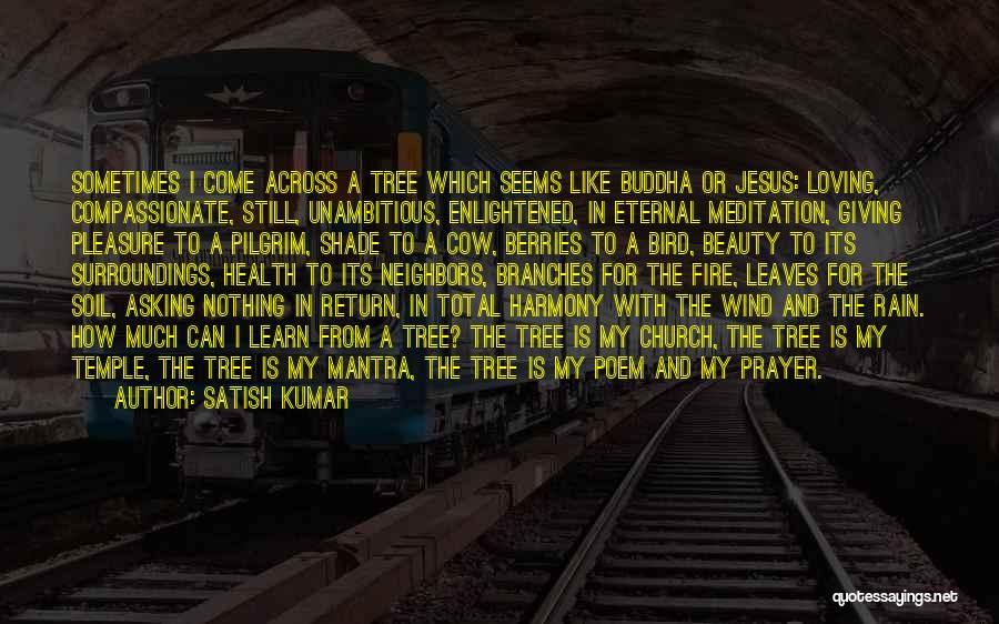 Meditation And Prayer Quotes By Satish Kumar