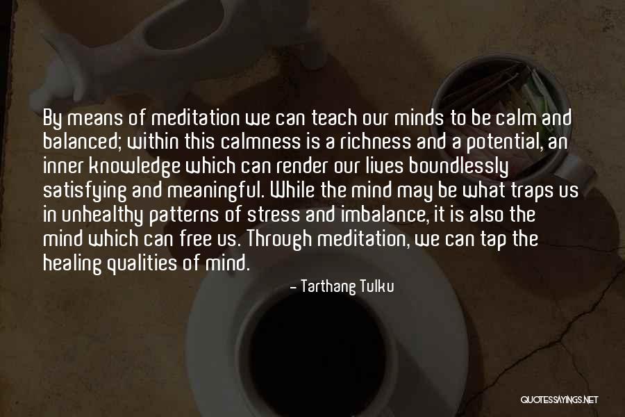 Meditation And Stress Quotes By Tarthang Tulku Meditation And Stress Quotes By Tarthang Tulku