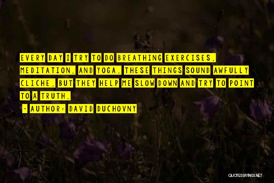 Meditation And Yoga Quotes By David Duchovny