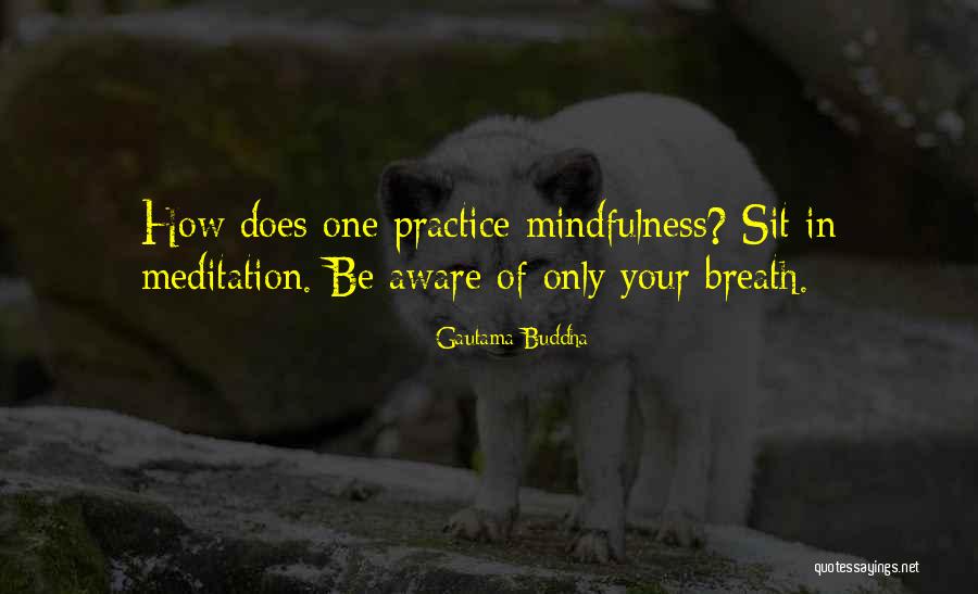 Meditation Buddha Quotes By Gautama Buddha Meditation Buddha Quotes By Gautama Buddha
