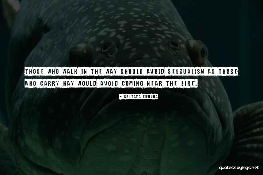 Meditation Buddha Quotes By Gautama Buddha Meditation Buddha Quotes By Gautama Buddha