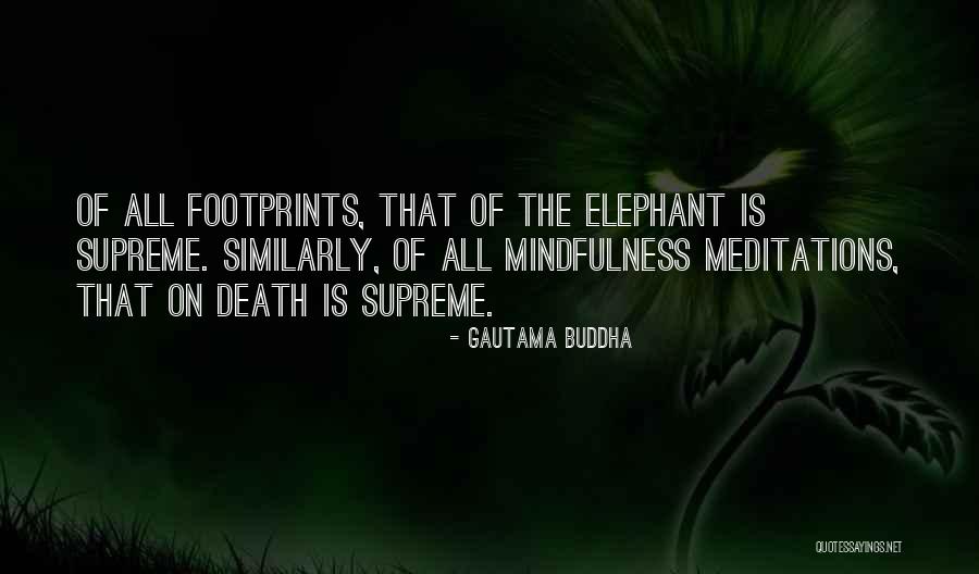 Meditation Buddha Quotes By Gautama Buddha Meditation Buddha Quotes By Gautama Buddha