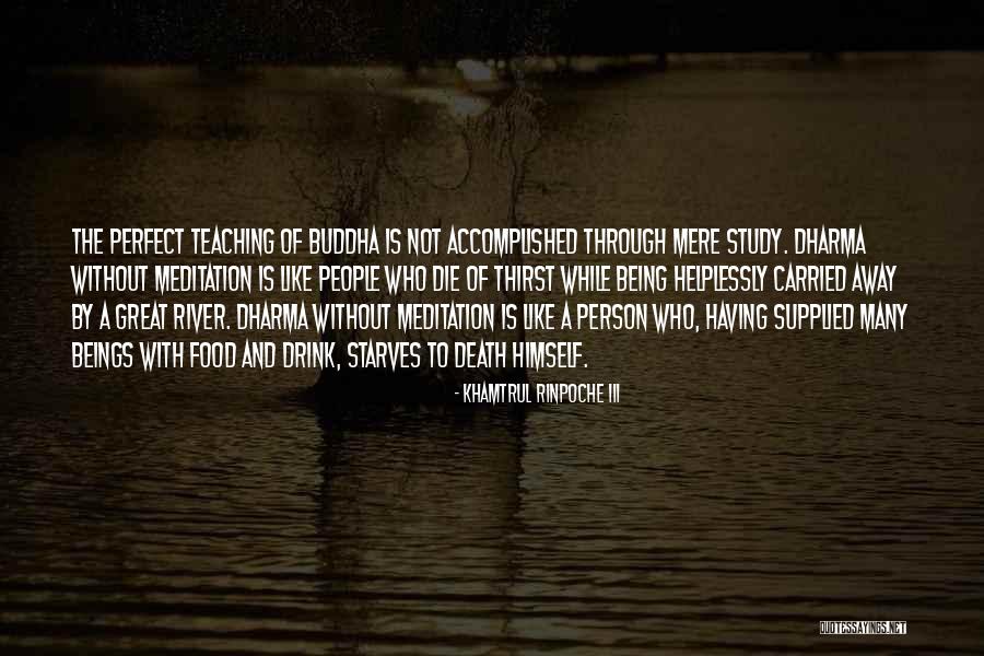 Meditation Buddha Quotes By Khamtrul Rinpoche III Meditation Buddha Quotes By Khamtrul Rinpoche III