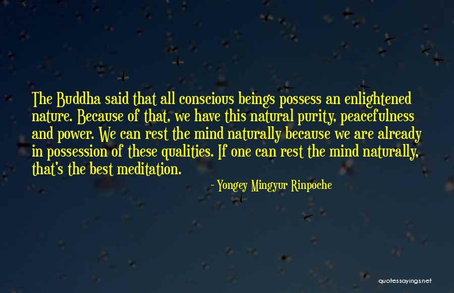Meditation Buddha Quotes By Yongey Mingyur Rinpoche Meditation Buddha Quotes By Yongey Mingyur Rinpoche