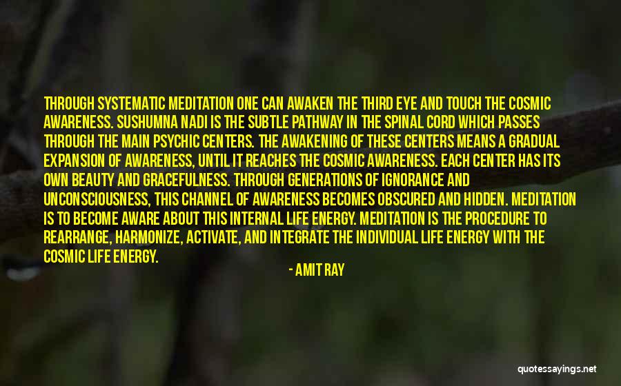 Meditation Chakra Quotes By Amit Ray