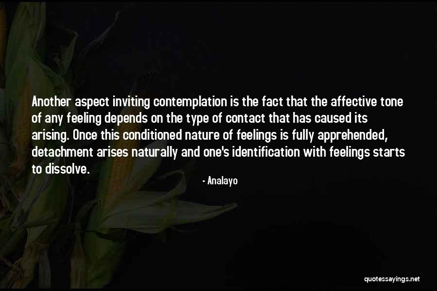 Meditation Contemplation Quotes By Analayo Meditation Contemplation Quotes By Analayo