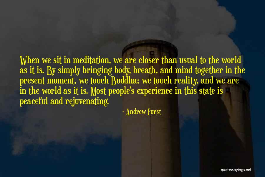 Meditation Experience Quotes By Andrew Furst Meditation Experience Quotes By Andrew Furst