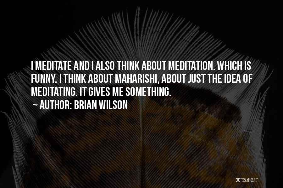 Meditation Funny Quotes By Brian Wilson