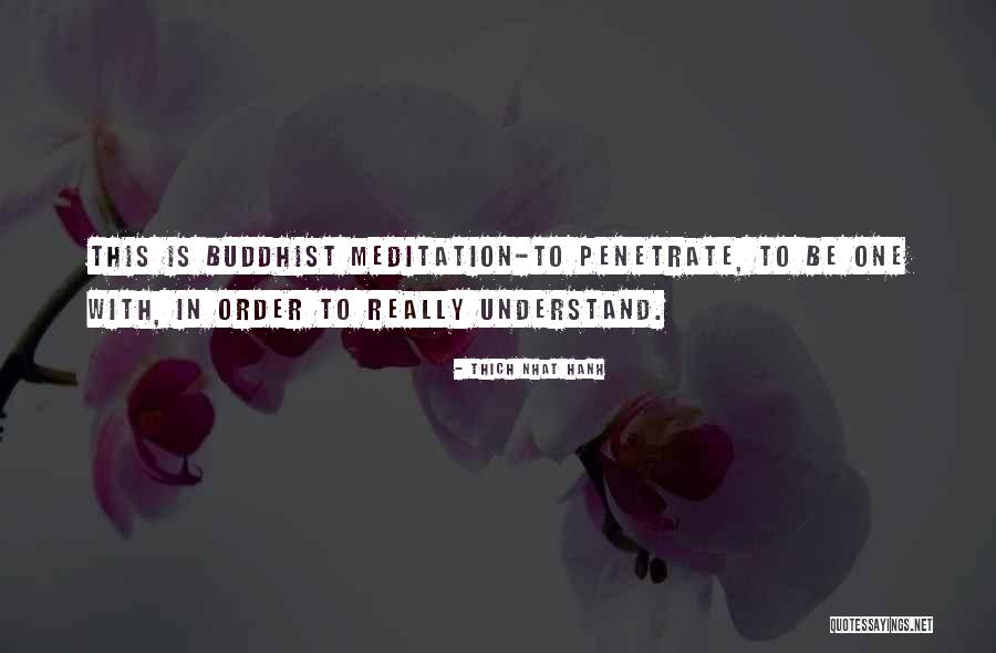 Meditation In Quotes By Thich Nhat Hanh Meditation In Quotes By Thich Nhat Hanh