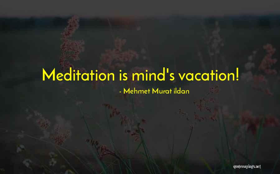 Meditation Mind Quotes By Mehmet Murat Ildan