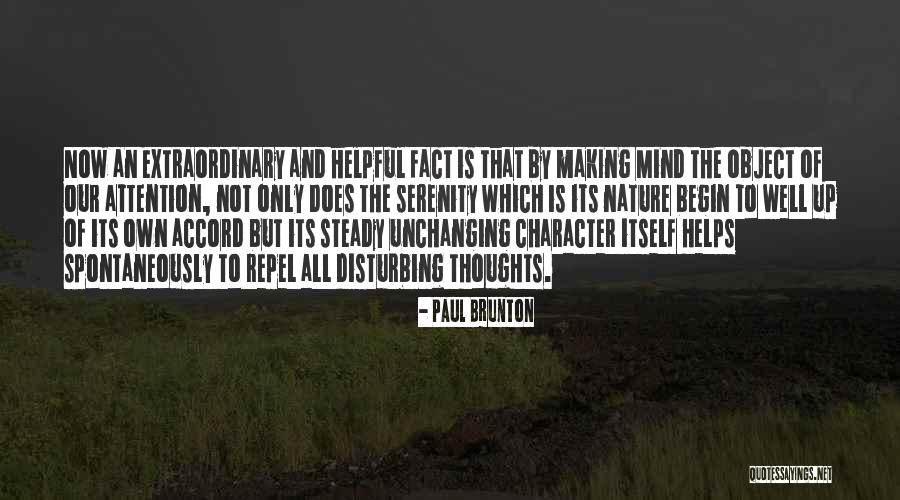 Meditation Mind Quotes By Paul Brunton