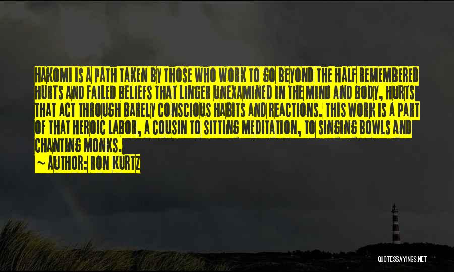 Meditation Mind Quotes By Ron Kurtz