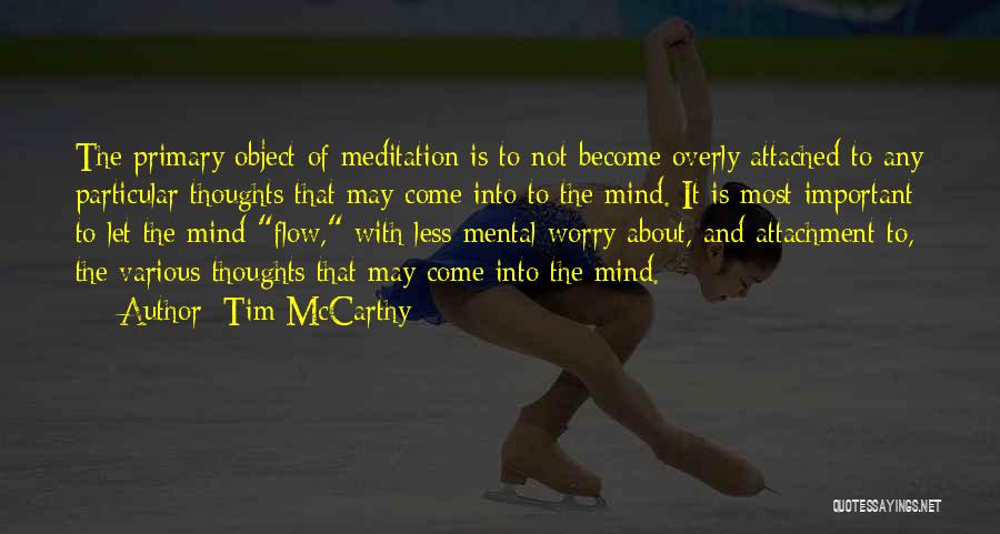 Meditation Mind Quotes By Tim McCarthy
