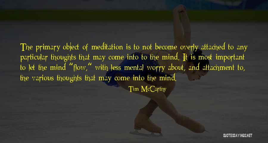 Meditation Mind Quotes By Tim McCarthy