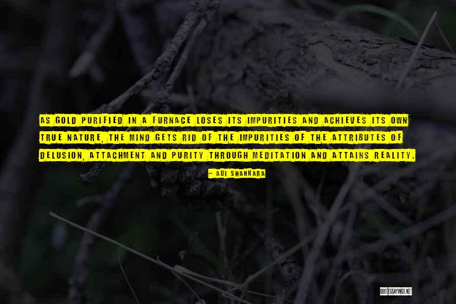 Meditation Practice Quotes By Adi Shankara Meditation Practice Quotes By Adi Shankara