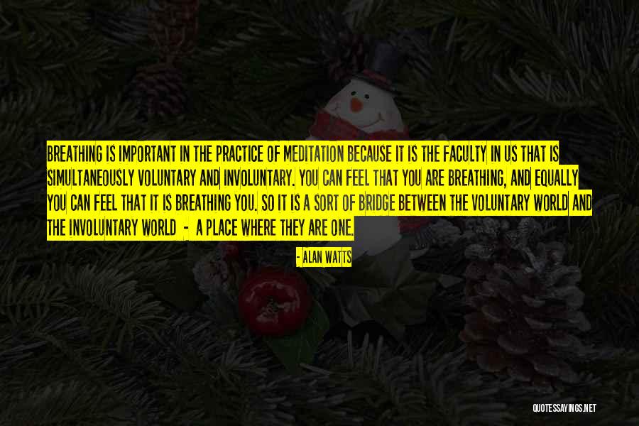 Meditation Practice Quotes By Alan Watts Meditation Practice Quotes By Alan Watts