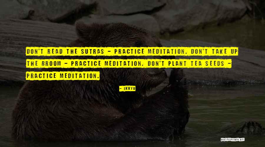 Meditation Practice Quotes By Ikkyu Meditation Practice Quotes By Ikkyu