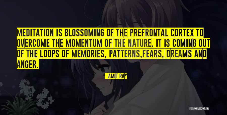 Meditations Quotes Quotes By Amit Ray Meditations Quotes Quotes By Amit Ray