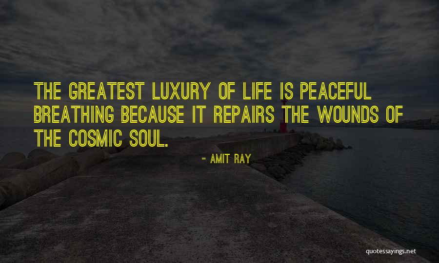 Meditations Quotes Quotes By Amit Ray Meditations Quotes Quotes By Amit Ray