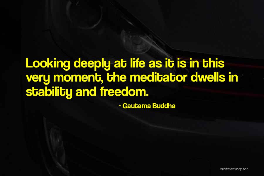 Meditator Quotes By Gautama Buddha Meditator Quotes By Gautama Buddha