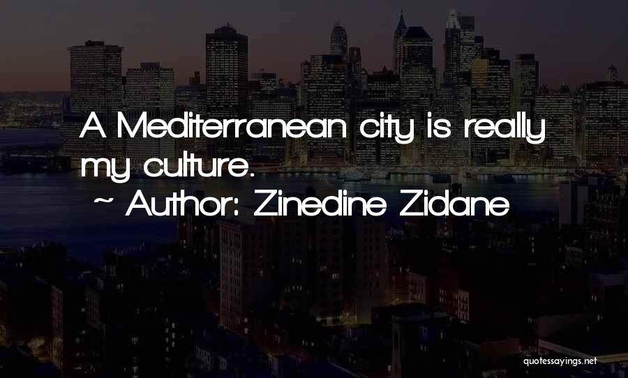 Mediterranean Quotes By Zinedine Zidane