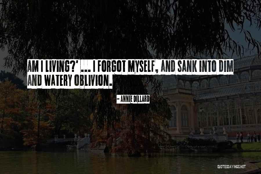 Mediterranean Shipping Quotes By Annie Dillard Mediterranean Shipping Quotes By Annie Dillard
