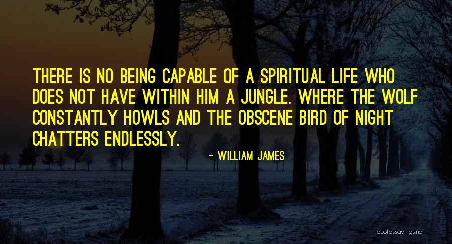 Medizin Dispensary Quotes By William James Medizin Dispensary Quotes By William James
