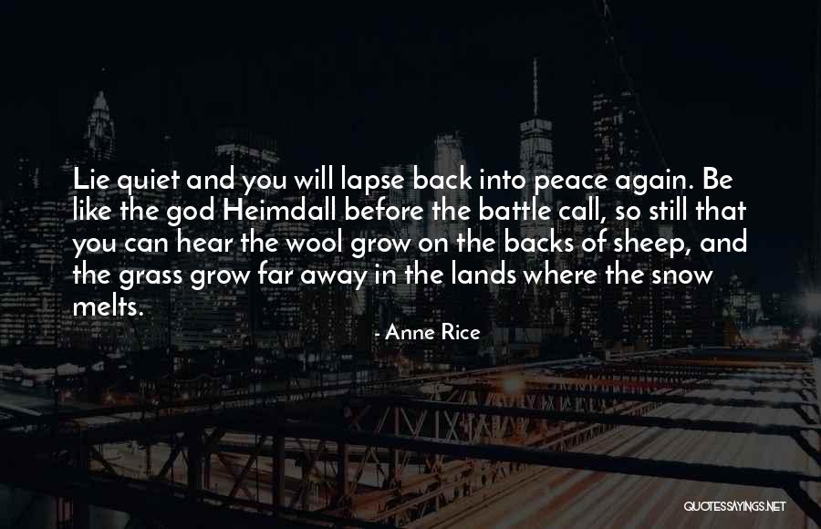 Medlance Quotes By Anne Rice