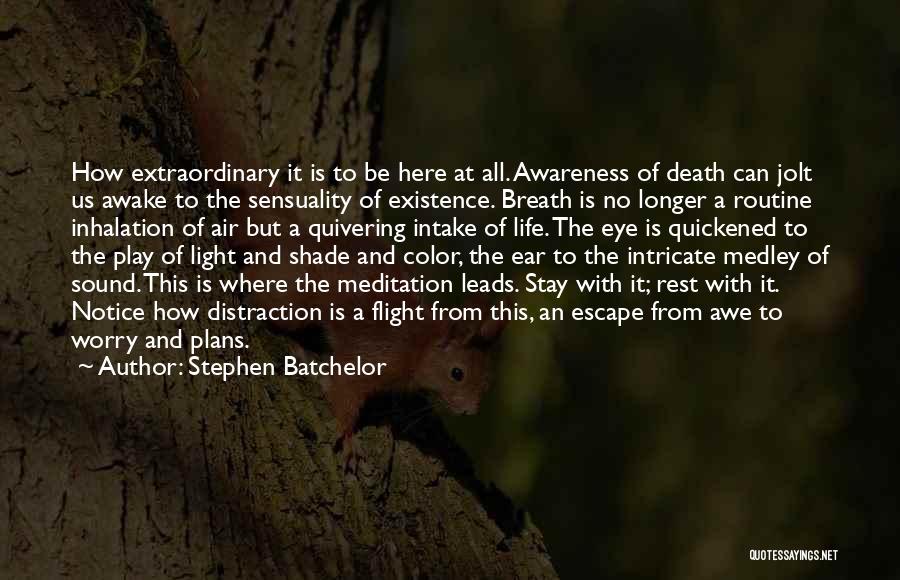 Medley Quotes By Stephen Batchelor