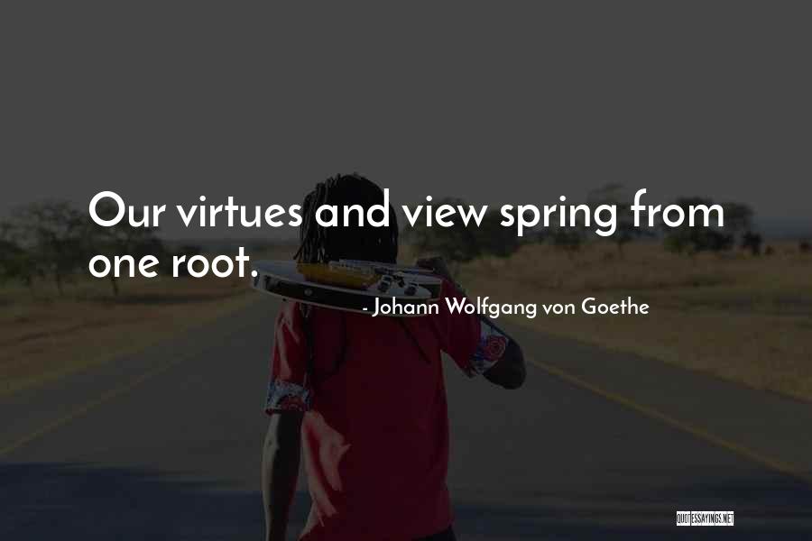 Mednicks Plumbing Quotes By Johann Wolfgang Von Goethe Mednicks Plumbing Quotes By Johann Wolfgang Von Goethe