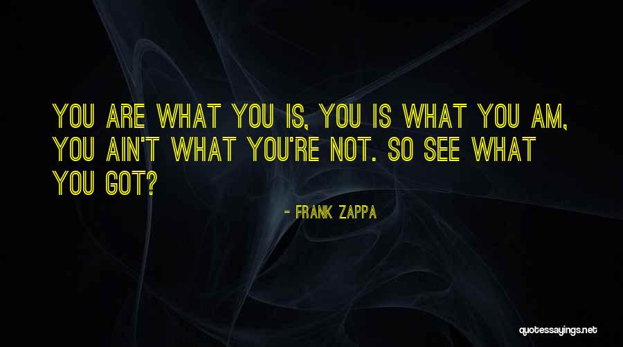 Medulla Function Quotes By Frank Zappa Medulla Function Quotes By Frank Zappa