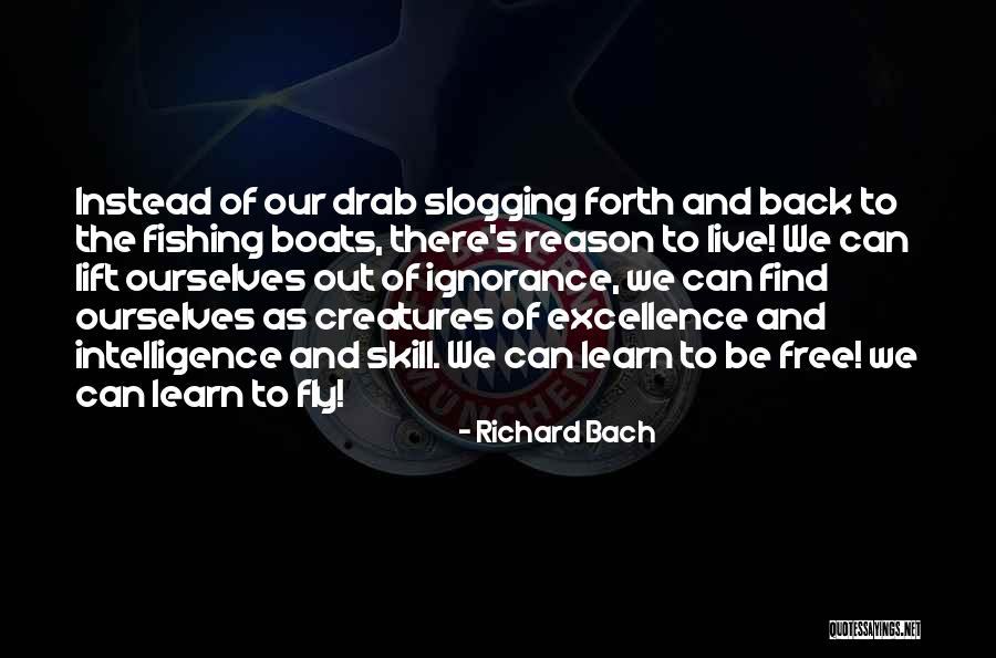 Medunjanin Wikipedia Quotes By Richard Bach Medunjanin Wikipedia Quotes By Richard Bach
