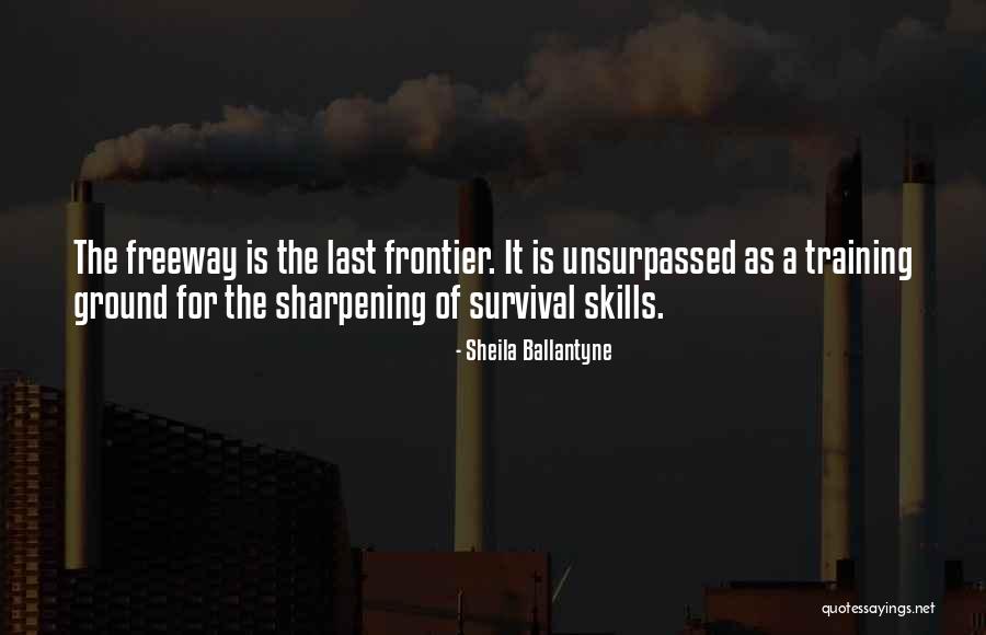 Medvetz Quotes By Sheila Ballantyne Medvetz Quotes By Sheila Ballantyne